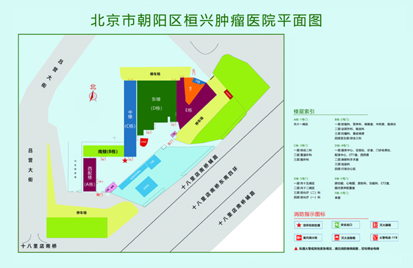 操b在线播放日本北京市朝阳区桓兴肿瘤医院平面图